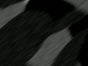 Naruto Shippuden opening 1