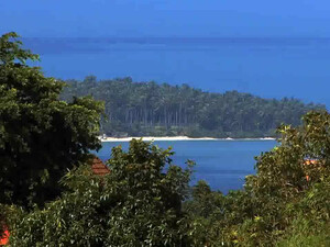 Катя Самбука поёт песню про себя