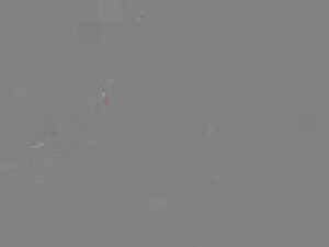 Две блондинки красотки делят между собой один член