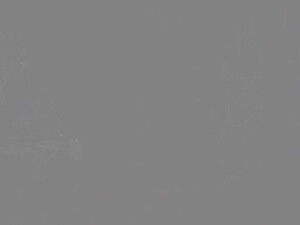 Две блондинки красотки делят между собой один член