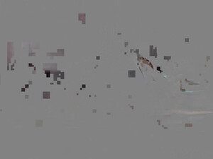 Две блондинки красотки делят между собой один член