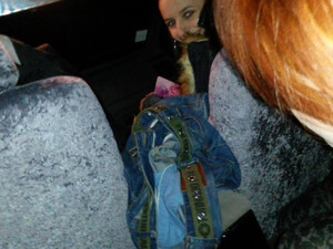 Рыжая девушка наклонилась и сделала минет своему другу на камеру