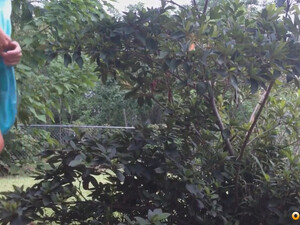 Мамашка писает стоя в кустах на дачном огороде