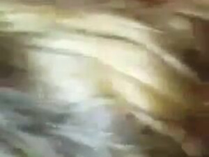 Похотливая любимая ублажает дорогого и кента семьи