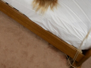 Связал и трахнул визжащую жену