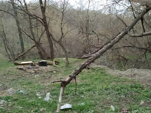 Реальный минет на природе с простой русской девушкой снятый на телефон