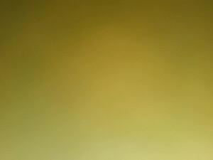 Молодой человек снял домашний секс с женой