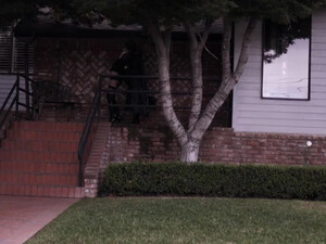 Бэтмен трахает свою белокурую любовницу во всех позах