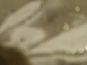 Молодая пара занимается сексом на квартире