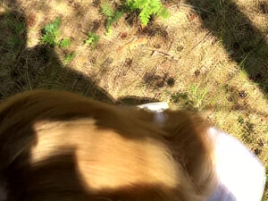 Кореш раком трахает блондинку в летнем лесу