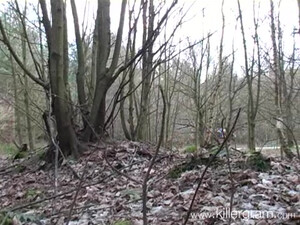 Негритянка шлюха в лесу делает минет клиенту