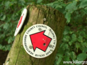 Мужик трахает раком в лесу дешёвую шлюху