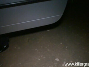 Дорогая молодая проститутка удовлетворяет мужиков ртом