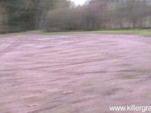 Чуваки развели рыжеволосую подстилку на групповой минет