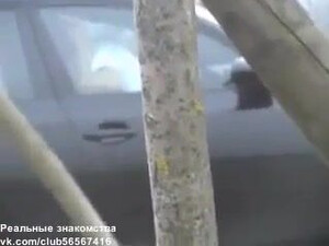 Пацан проследил жену и увидел как ее долбит автомобилист