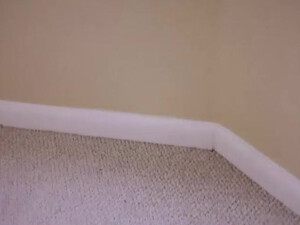 Упругая жопа брюнетки сама напрашивается на член