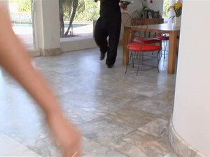 Негр выебал молодую девицу в чулках с красивой попкой раком